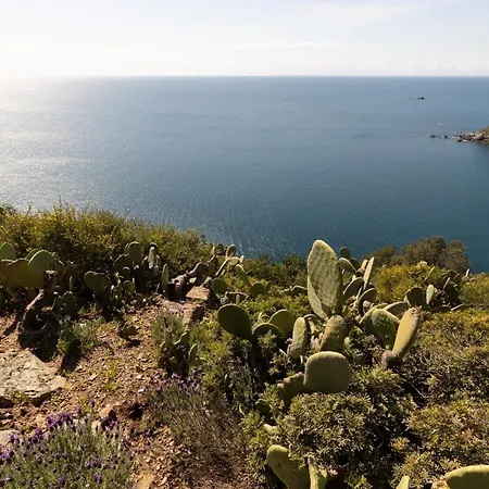 Casa Natura & Relax - Helloelba Casa de Férias *